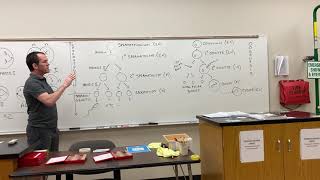 2402 Lab Meiosis [upl. by Aleetha969]