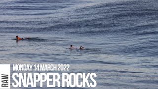 Morning Glass Snapper Rocks [upl. by Airenahs]