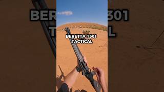 Beretta 1301 VS Watermelon shorts [upl. by Ahseetal]