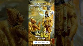 Bhagavad Gita Chapter 11 1128  1129 [upl. by Brownson]