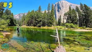 Fly Fishing the ICONIC Yosemite National Park  California Gold Pt 5 [upl. by Ahsytal573]