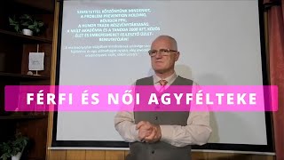 Férfi és női agyfélteke [upl. by Rosalie]