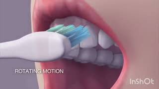 correct method of teeth brushing [upl. by Swen]