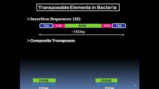 Transposable Elements [upl. by Valentine958]