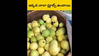 Ekkada chala fruits untai telugu facts amazingfacts [upl. by Rakia]