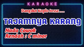 TAJAMNYA KARANG  KARAOKE NADA PRIA dangdut koplo [upl. by Moguel]