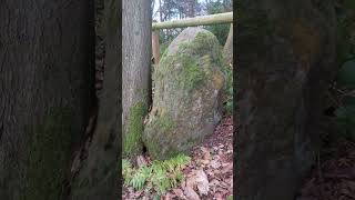 Dogmersfield 3rd ancient stone heading south down the lane on left [upl. by Enaasiali857]