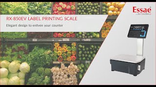 Label Printing Scale  The Best Equipment for Weighing Barcode Labeling and Printing [upl. by Lathrope409]