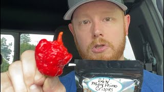 Double Chunk Chocolate Carolina Reaper cravingcapsaicin carolinareaper [upl. by Maer143]