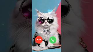 Cute Cat Calling Me 🔥🔥🔥 sounds effect shorts calling ringtone [upl. by Trueman532]