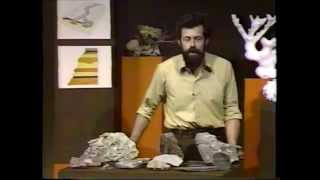 FULL EPISODE Lesson 07  Sedimentary Rocks  Understanding the Earth HD [upl. by Saxela]