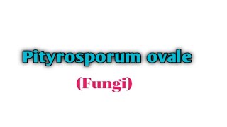 Pityrosporum ovale pronunciation [upl. by Grubb]