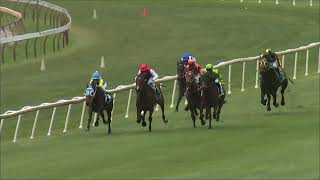 Moruya 05 11 2024 Race 1 [upl. by Deering]