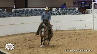 2023 APHA World Show Ranch Pleasure  Spooks A Shiner Too [upl. by Amees]