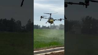 After the herbicide is finished continue spreading fertilizer drone sprayingdrone [upl. by Peyter165]