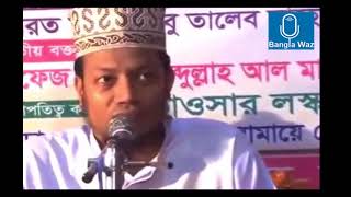 Maulana Amir Hamza Bangla Waz [upl. by Adoc284]