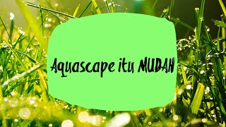 Aquarium Aquascape Iwagumi [upl. by Kore]