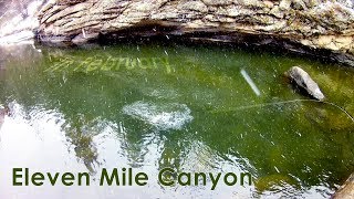 Eleven Mile Canyon  Fishing in the SNOW  McFly Angler Episode 43 [upl. by Dyanne550]