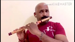 Mandara cheppundo flute [upl. by Arihay]