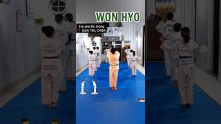 WonHyo Kodang taekwondo Argentina 🥋 [upl. by Loise]