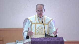 quotHaving true visionquot  Homily  Friday December 6 2024  by Fr Steven [upl. by Shayn]