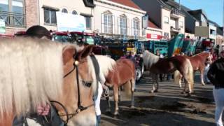 Houtem Jaarmarkt Werelderfgoed [upl. by Mialliw889]