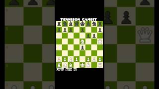 95 of Chess Beginners Fell for This Gambit—Dont Be Next [upl. by Minne]