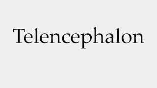 How to Pronounce Telencephalon [upl. by Ennaeirb]