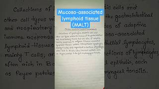 mucosa associated lymphoid tissue maltimmunology zoology biologyshortsfeed shorts [upl. by Trebeh]