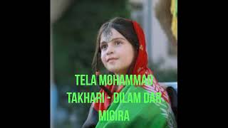 Afghan Song Tela Mohammad Takhari  Dilam Dar Migira دلم در میگیره [upl. by Anella22]