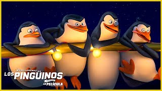 Pingüinos unidos 🐧  Los Pingüinos de Madagascar  DreamWorks Madagascar en Español Latino [upl. by Raphael]