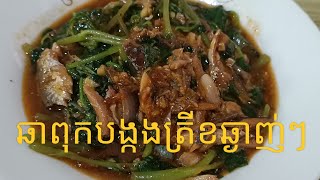 របៀបឆាពុកបង្កងត្រីខឆ្ងាញ់ៗHow to Fry Peperomia Pellucida with Mackerel in tomato sauce raksmeysor [upl. by Cazzie888]