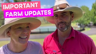 Important Farm Updates  Lucy Puppies and shelter work continuing [upl. by Durstin]