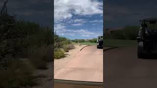 Troon North Golf Course Hole 14  Monument  in North Scottsdale Arizona near Cave Creek arizona [upl. by Beitz197]