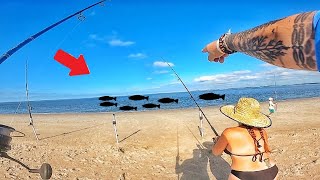 Insane Action Fishing From Land Catch Clean amp Cook [upl. by Sauder]