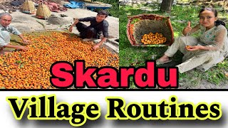 Skardu Village Vlogs  village Routine  azamhaldi512 [upl. by Nmutua]