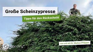 Große Scheinzypresse Tipps für den Rückschnitt  gardify Tipps [upl. by Naesal]