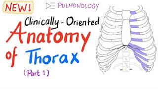 ClinicallyOriented Anatomy of the Thorax part 1 [upl. by Alyssa]