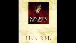 AudioBible NLT 18 Job Dramatized New Living Translation Version [upl. by Aiuqenehs435]