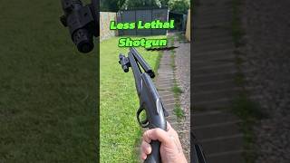 UMAREX HDS 68 Airgun Shotgun [upl. by Elconin]