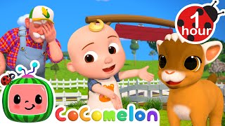 The Great Baby Animal Escape 🐥  CoComelon  Nursery Rhymes for Babies [upl. by Ruenhcs]