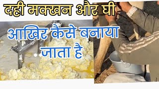 दही मक्खन और घी।। आखिर कैसे बनाया जाता है ।। Dahi se ghee kaise nikale mixi me [upl. by Adnoved]