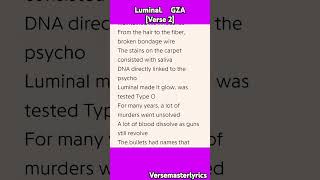 Luminal GZA verse 2 hiphop rap music lyrics Verse [upl. by Opiak423]