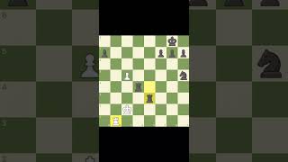 Checkmate in 3 moves  White to play  can tou find it [upl. by Nirehtac861]