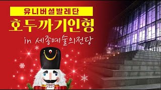 유니버셜발레단 호두까기인형 in 세종예술의전당 [upl. by Mitinger16]