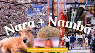 Half Day Trip to Nara What to Eat in Namba Osaka Japan 2024 [upl. by Cordy]