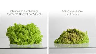 Electrolux TwinTech® No Frost [upl. by Hnoj]