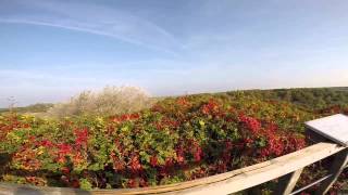 Borkum im Herbst [upl. by Xad]