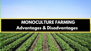 Monoculture Advantages and Disadvantages of Monoculture Farming [upl. by Leanor538]