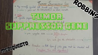 Tumor Suppressor Gene ImmunityPathology [upl. by Rowney249]